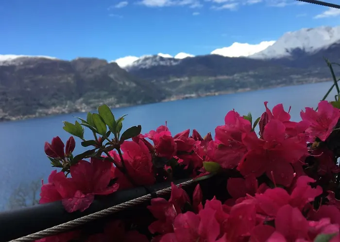 Il Poggio Hébergement de vacances Dorio